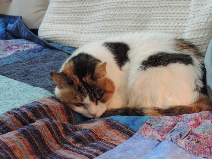 Pat Sloan’s Podcast