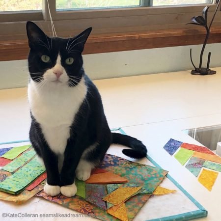Top US quilting blog and shop, Kate Colleran Designs, shares about her latest mystery quilt along called Luna! Image shows a black and white cat sitting on fabric.