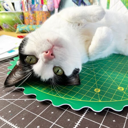 Top US quilting blog and shop, Kate Colleran Designs, shares about her latest mystery quilt along called Luna! Image shows a white cate on a cutting mat.