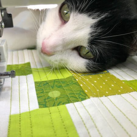 Top US quilting blog and shop, Kate Colleran Designs, shares about her latest mystery quilt along called Luna! Image show a white cat on a quilt by a sewing machine